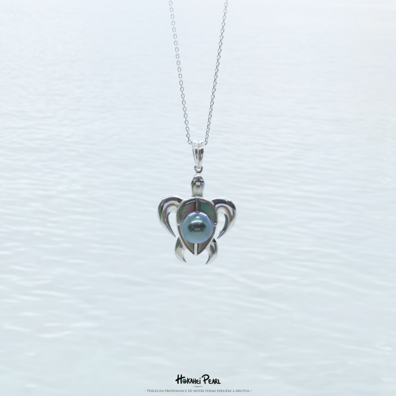 turtle silver01