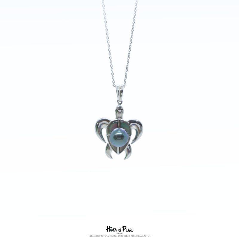 turtle silver02